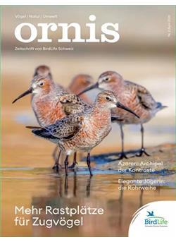 Ornis Cover