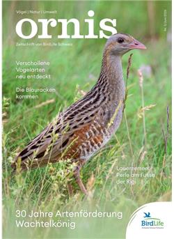 Ornis Cover