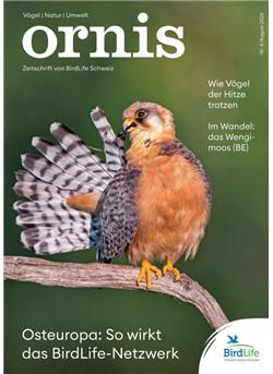 Ornis Cover