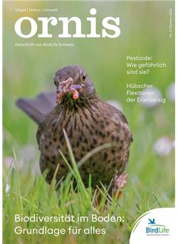Ornis Cover