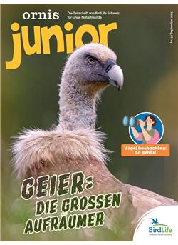 Ornis Junior Cover