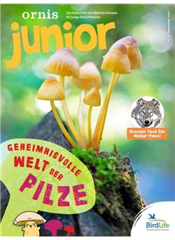 Ornis Junior Cover