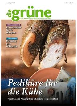 Die Grüne Cover