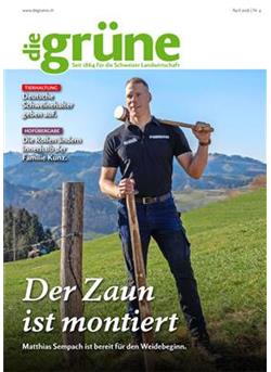 Die Grüne Cover