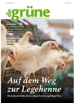 Die Grüne Cover