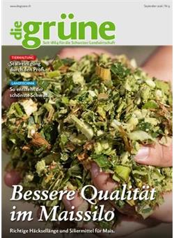 Die Grüne Cover
