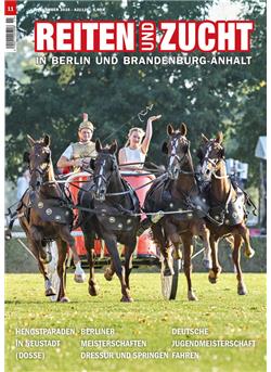Reiten und Zucht in Berlin und Brandenburg-Anhalt Cover