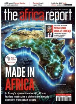 The Africa Report Cover