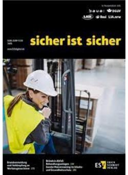 Sicher ist sicher Cover