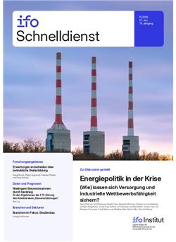 ifo Schnelldienst Cover