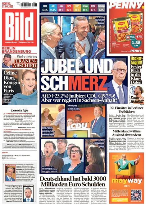 Bild-Berlin-Brandenburg-Abo