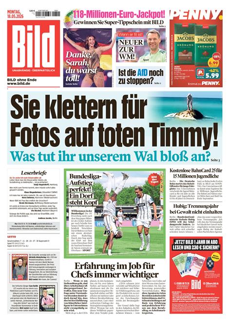 BILD-Abo