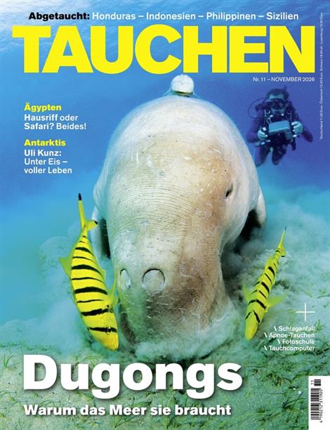 Tauchen-Abo