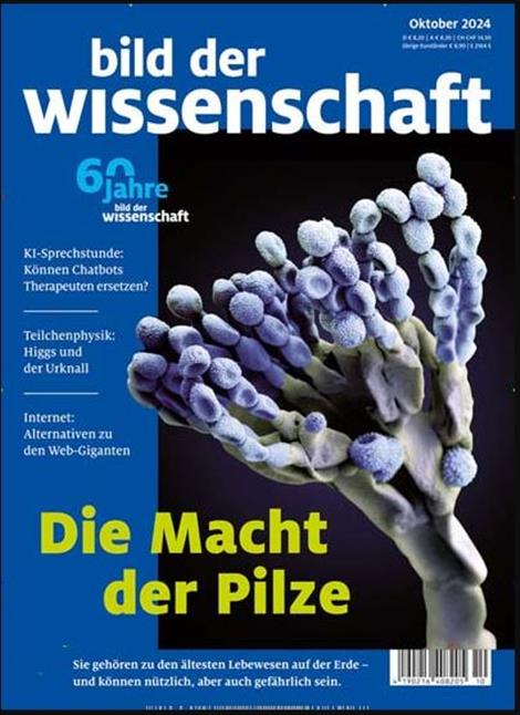 Bild-der-Wissenschaft-Abo