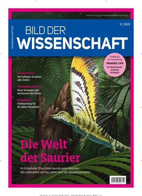 Bild-der-Wissenschaft-Abo