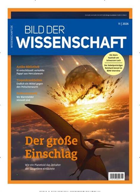 Bild-der-Wissenschaft-Abo