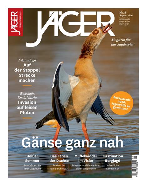 Jaeger-Abo