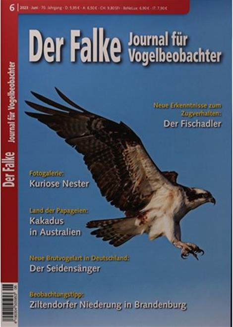 Falke-Abo