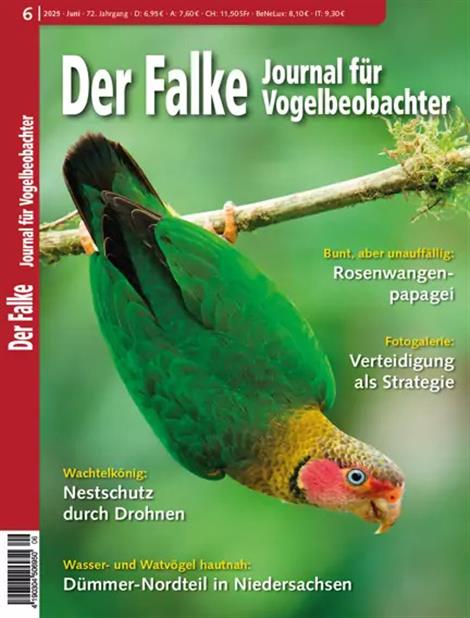 Falke-Abo