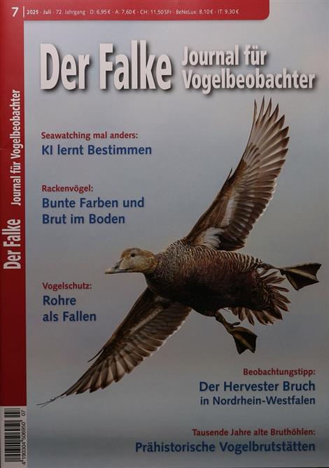 Falke-Abo
