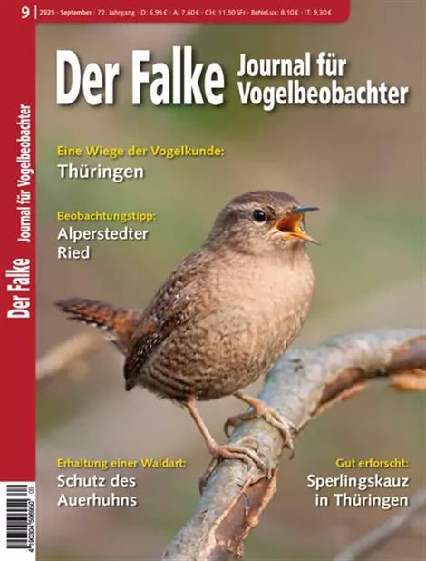 Falke-Abo