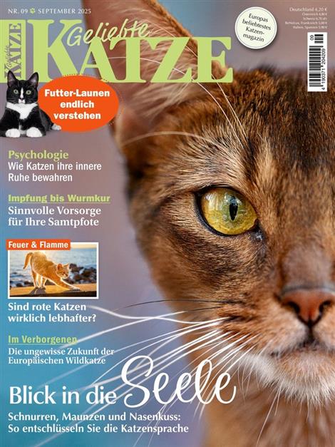 Geliebte-Katze-Abo