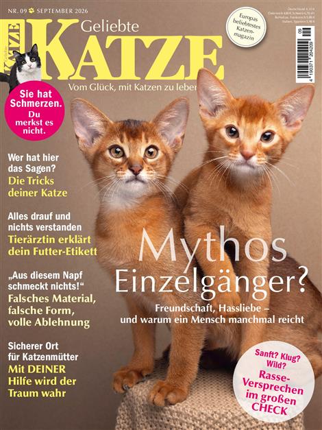 Geliebte-Katze-Abo