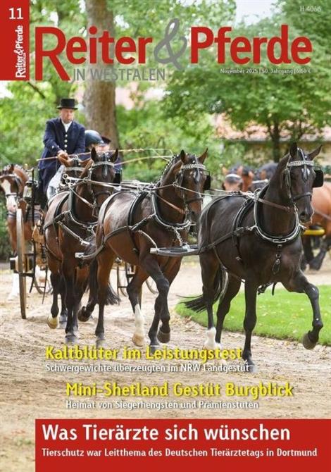 Reiter-und-Pferde-in-Westfalen-Abo