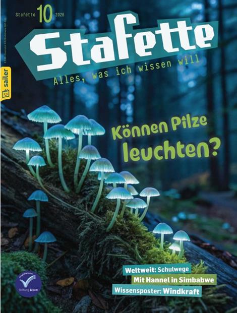 Stafette-Abo