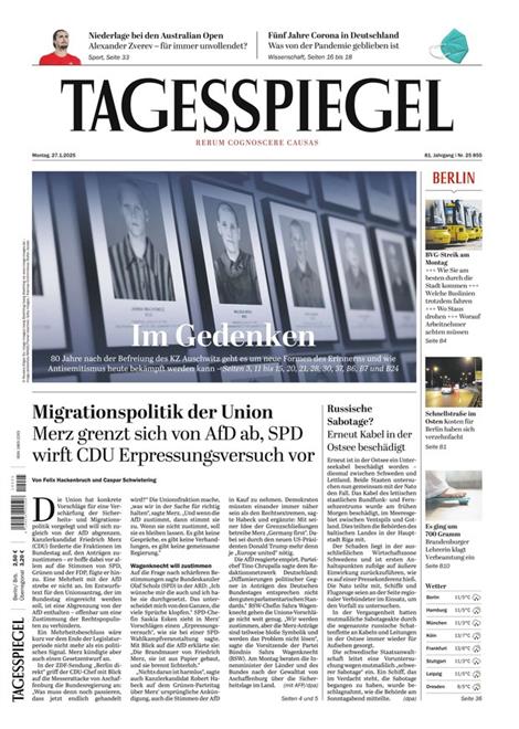 Der-Tagesspiegel-Abo