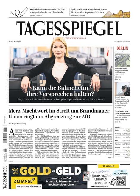 Der-Tagesspiegel-Abo