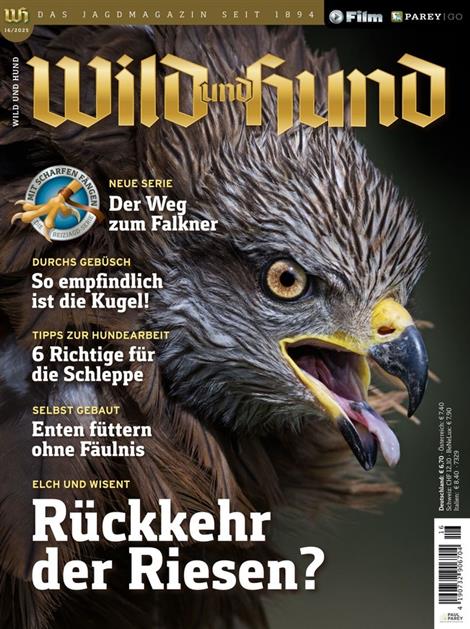 Wild-und-Hund-Abo