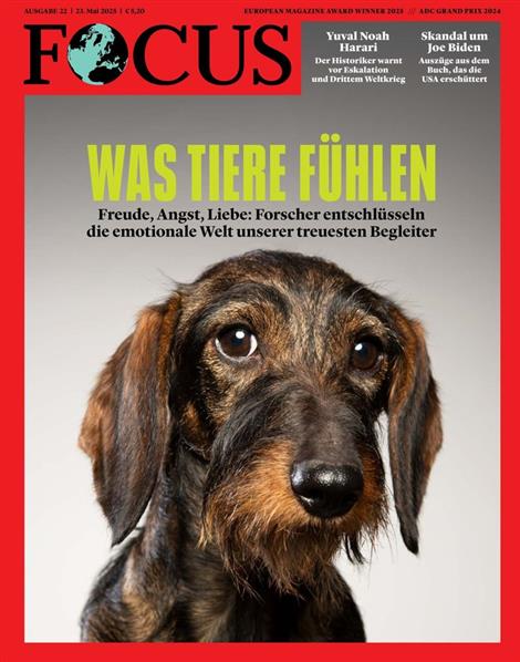 Focus-Abo