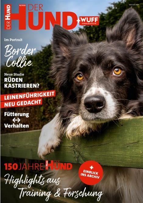 Der-Hund-Abo