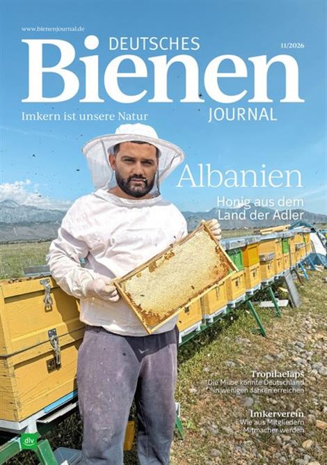Deutsches-Bienenjournal-Abo