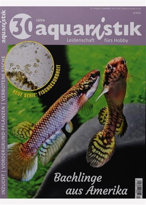 Aquaristik-Abo