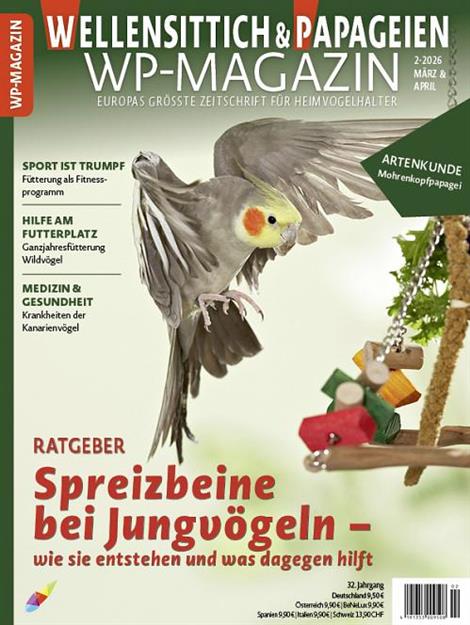 WP-Wellensittich-und-Papageien-Magazin-Abo