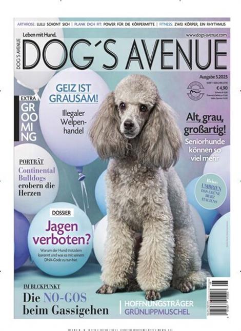 Dogs-Avenue-Abo