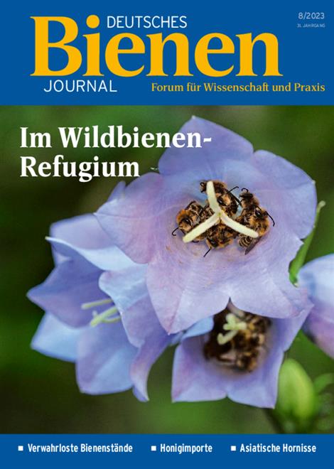 Deutsches-Bienenjournal-Abo