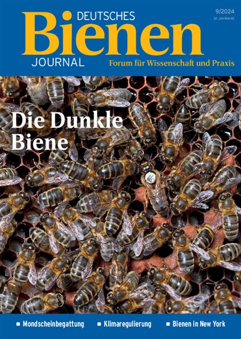 Deutsches-Bienenjournal-Abo