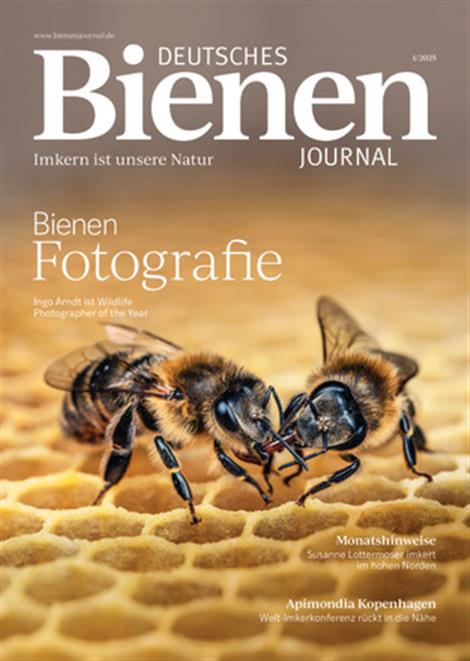 Deutsches-Bienenjournal-Abo