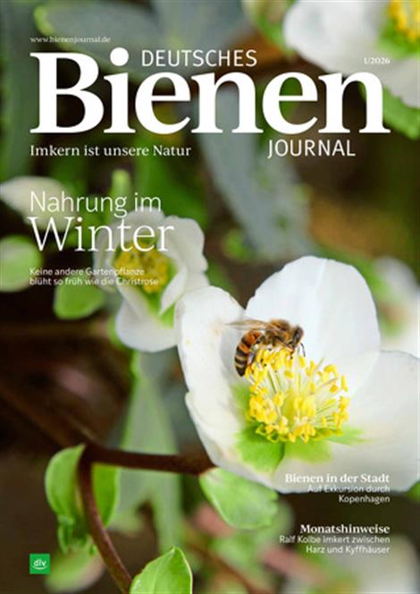 Deutsches-Bienenjournal-Abo