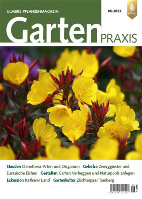 Gartenpraxis-Abo