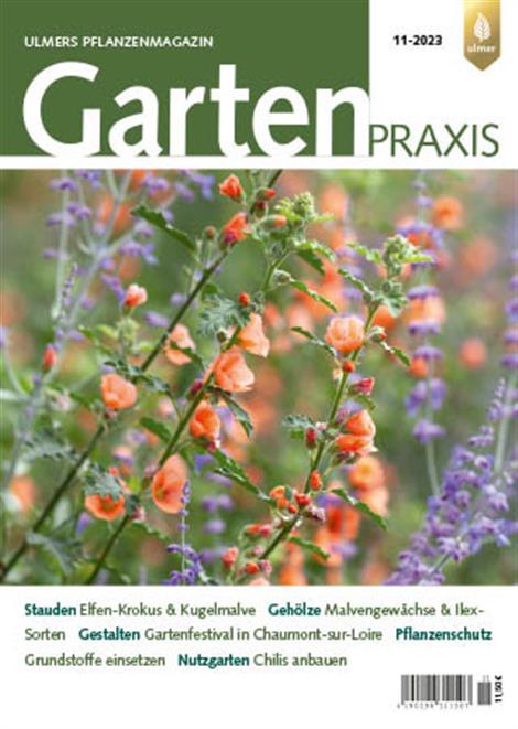 Gartenpraxis-Abo