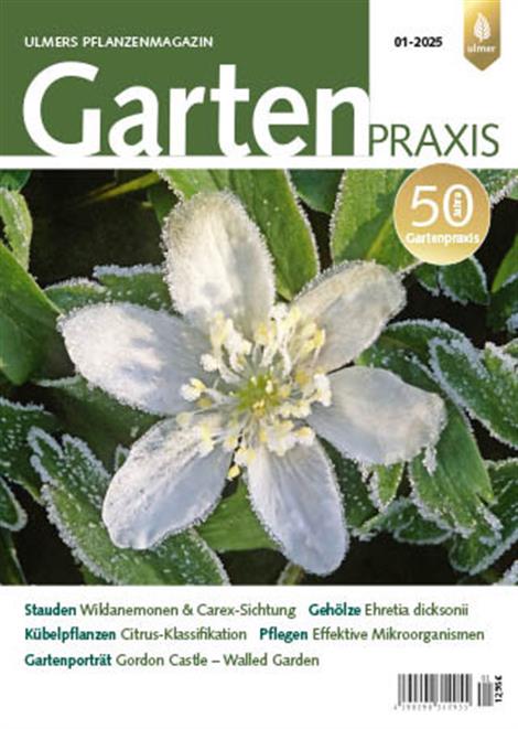 Gartenpraxis-Abo