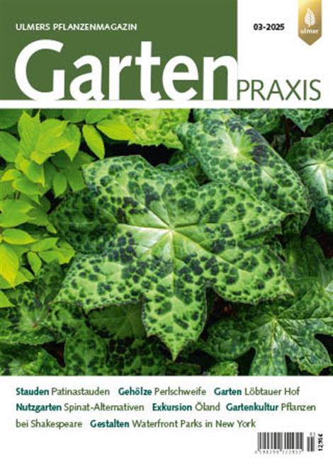Gartenpraxis-Abo