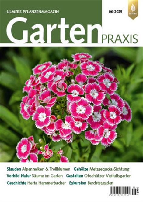 Gartenpraxis-Abo