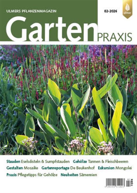 Gartenpraxis-Abo