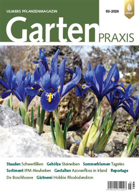Gartenpraxis-Abo