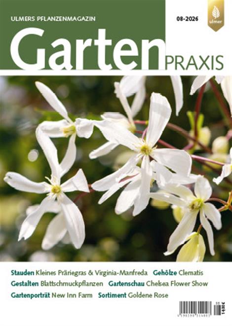 Gartenpraxis-Abo
